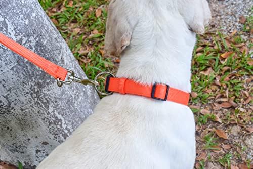 Reflektirajući ovratnik za pse, najlon mekani podstavljeni prozračni podesivi teški ogrlica za kućne ljubimce za šetnju kampiranjem