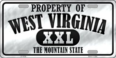 Vlasništvo novorođenčadi West Virginia metal registarska tablica LP-9789