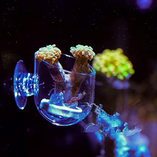 Akvarijski glista hranilica živa crvena crva konusna čaša prozirna akrilna riba spremnik za ribu jarice kozica u hranilica kristalna