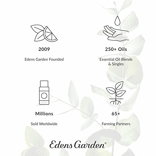 Edens Garden Evening Primrose nosač ulje, 4 oz