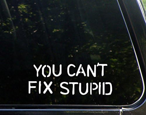 Ne možete popraviti glupo - 8 x 3 - naljepnica naljepnice/naljepnica za vinil za prozore, automobile, kamione, prijenosna računala