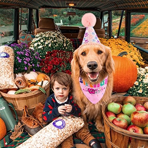 Purrnbark Dog Birthdana Bandana šešir s brojem Patry isporučuje slatka Doggy Bandana za mali srednji dječak plavi ružičasti kućni ljubimac
