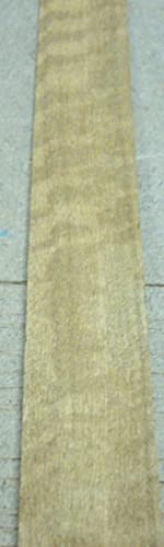 7/8 mech 120 kovrčava obloga stabla eukaliptusa na papirnoj podlozi bez ljepila