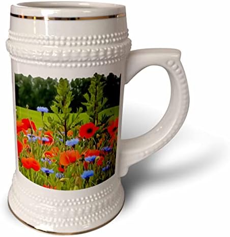 3Drose makovi i kukuruzni cvijeće Šareni krajolik umjetnost II - 22oz Stein šalica