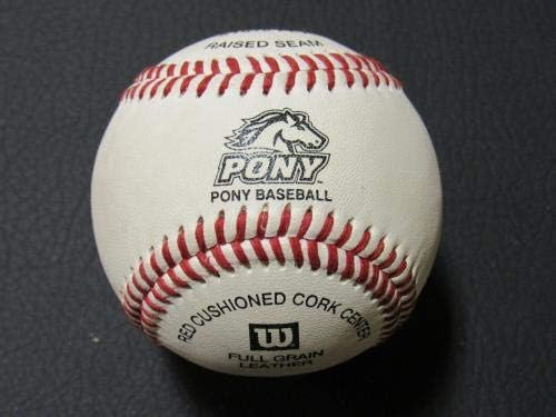 Steve Karsay potpisao je autogram autografa Wilson Pony League Baseball B89 - Autografirani bejzbols