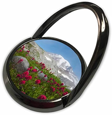 3Drose Mount Rainier, četkica s lavandom - prstenovi telefona