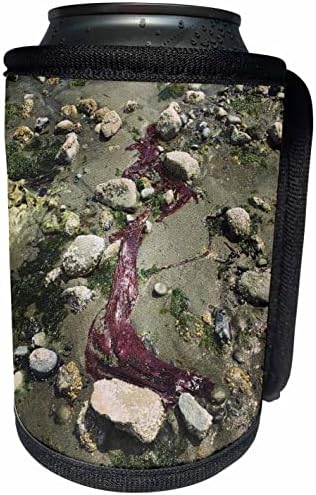 3Drose morske alge i raštrkano kamenje fotografije - omot za hladnjak za hladnjak