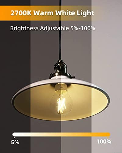 Pametne žarulje, Edison pametna LED žarulja