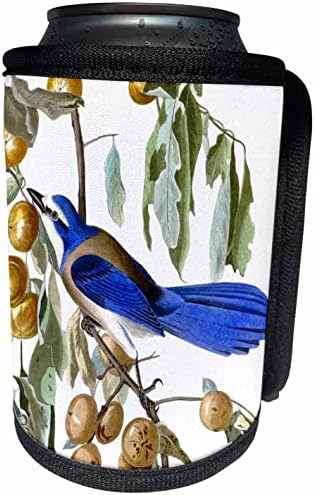 3Drose Blue Florida Jay Bird Audubon Birds of America. - Omota za hladnjak za hladnjak
