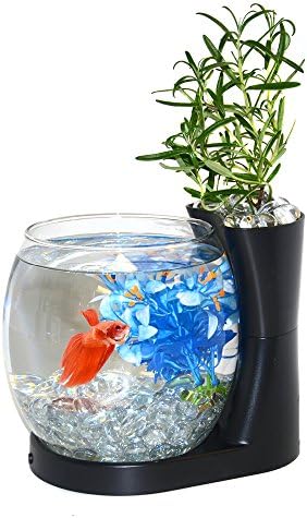 Elive Betta Fish Bowl / Betta spremnik za ribu s sadnicom, mali akvarij od 0,75 galona, ​​LED svjetlost, crni