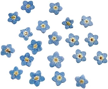 Ｋｌｋｃｍｓ 3x 0pcs Mali prešani pravi osušeni cvjetovi ostavlja DIY nakit
