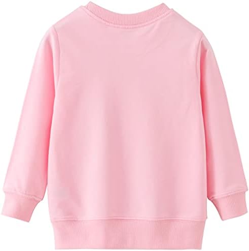 Retsugo mališani za bebe djevojčice dukserice casual pullover Crewneck zimske majice dugih rukava odjeća 3T-8T
